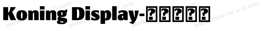 Koning Display字体转换